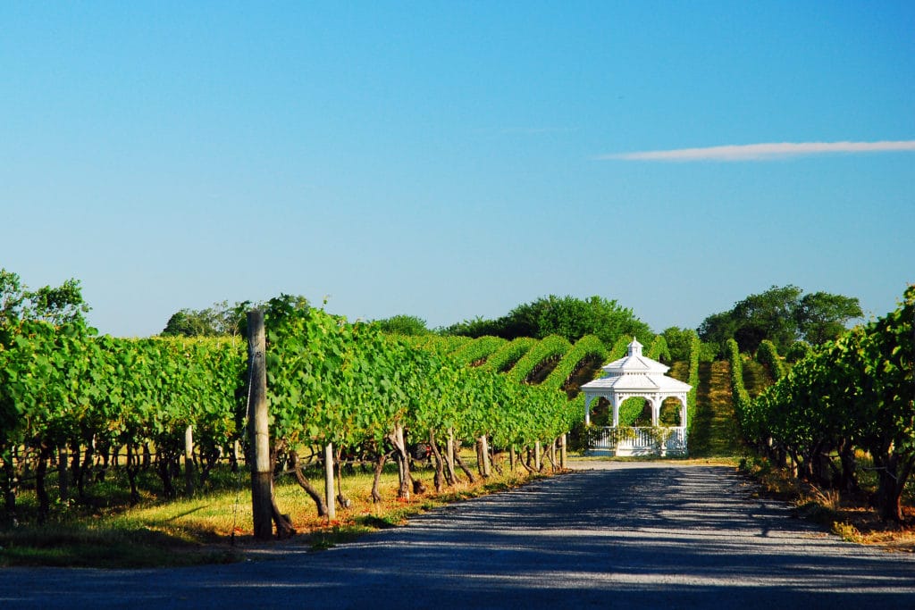 north fork wineries